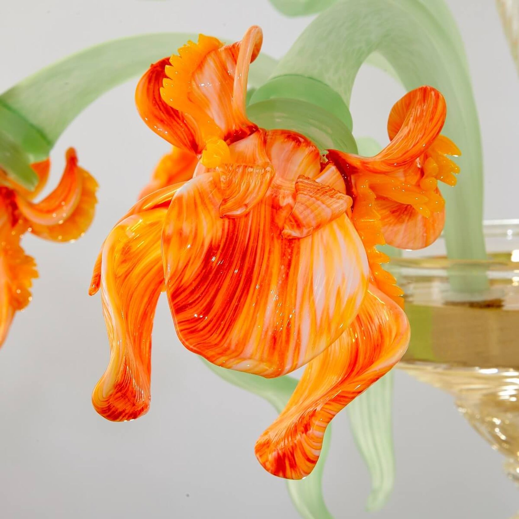 Iris Mignon