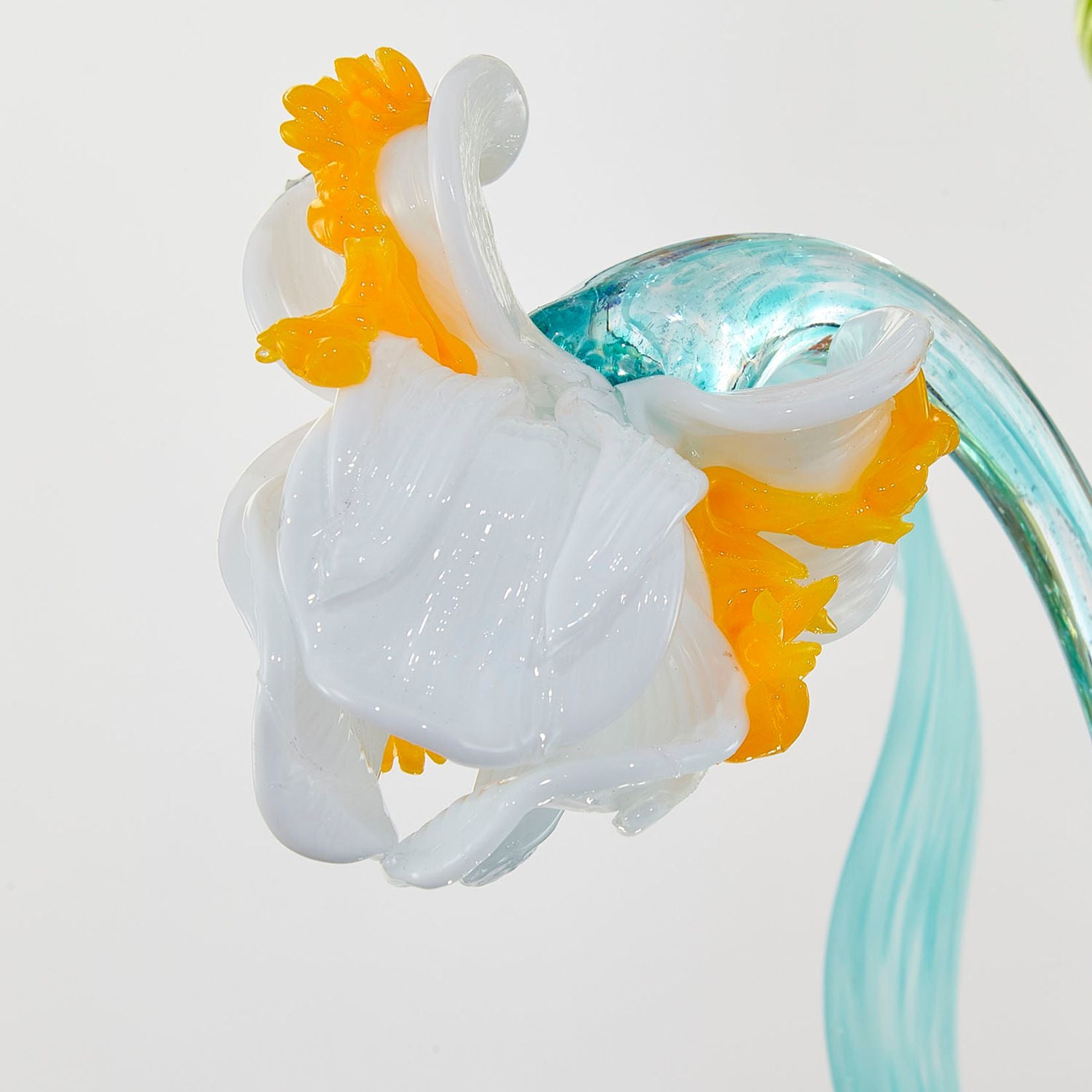 Iris Mignon