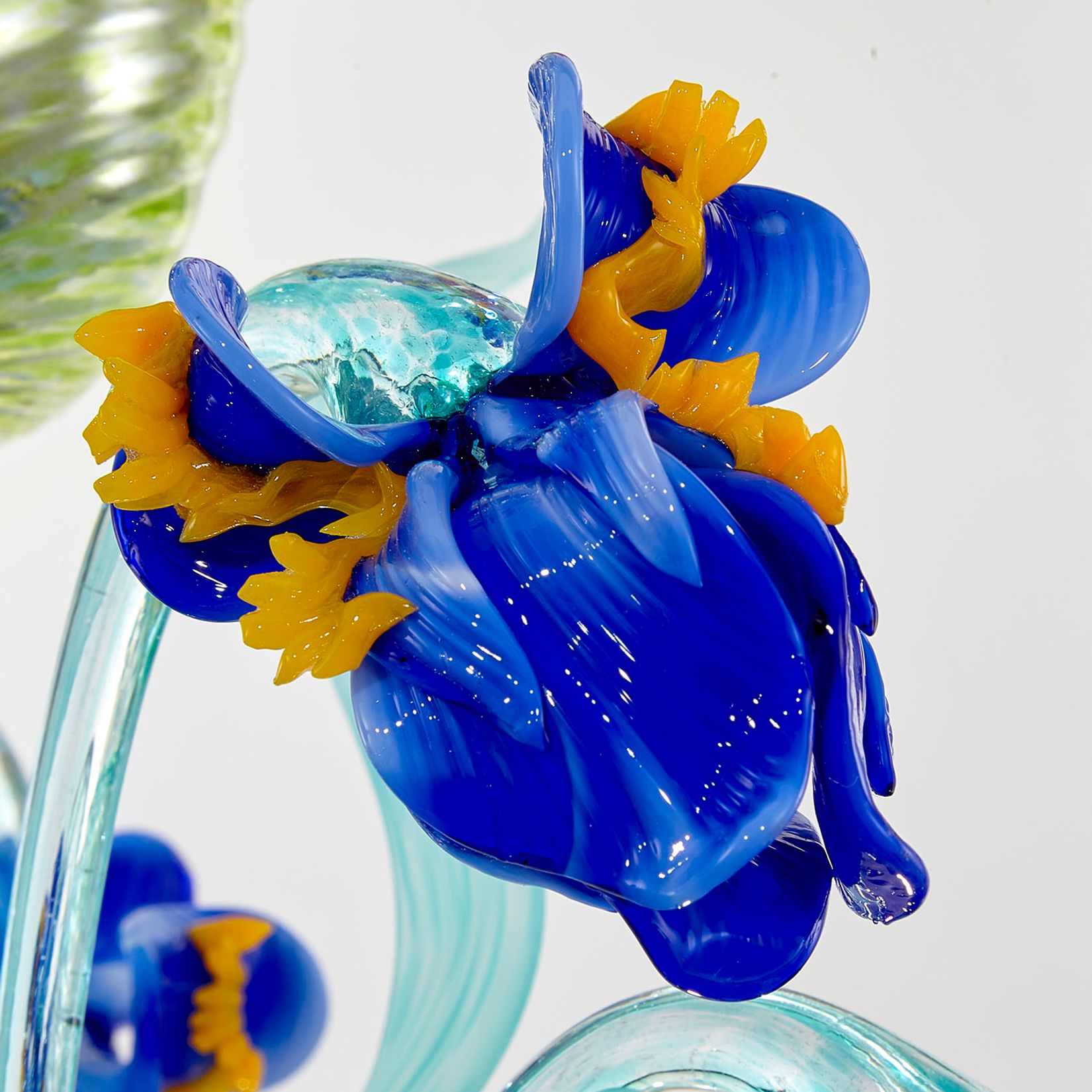 Iris Mignon