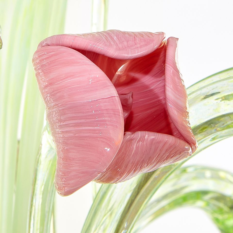 Renoir Tulpen
