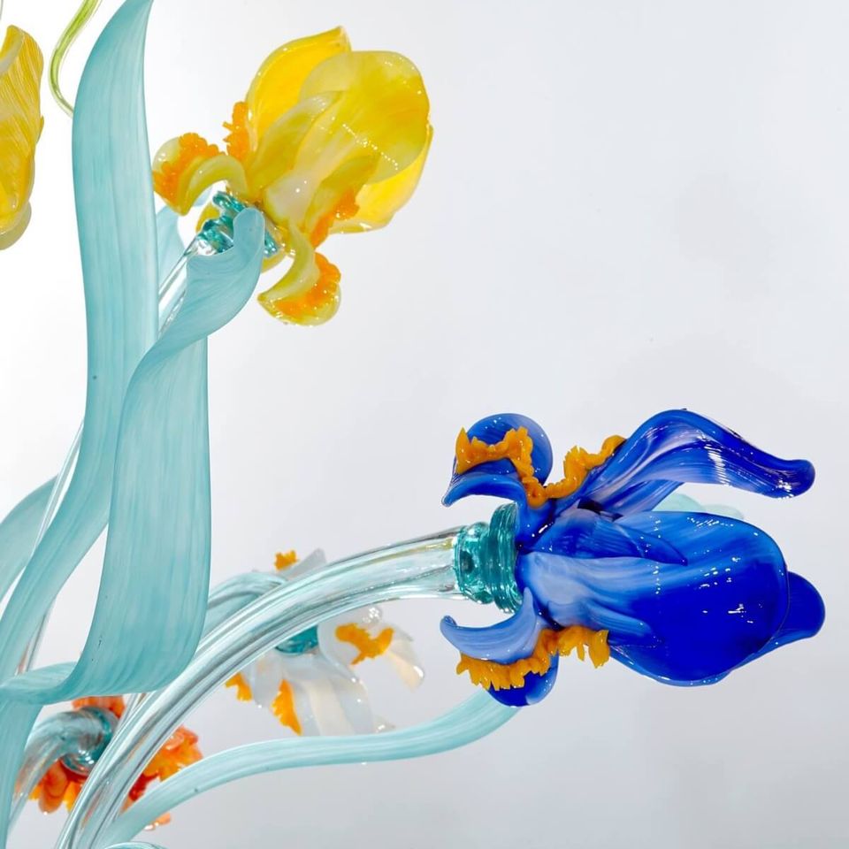 Van Gogh Iris Deluxe Multicolor