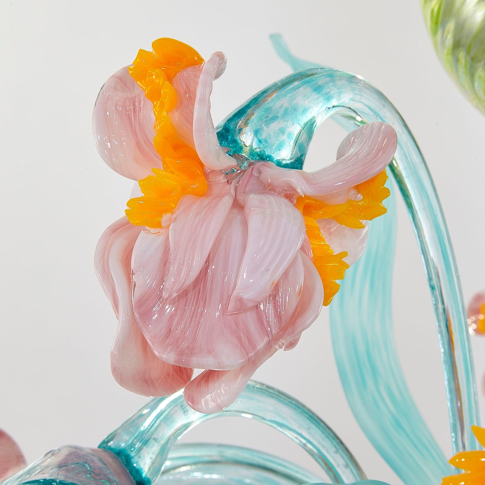 Iris Mignon