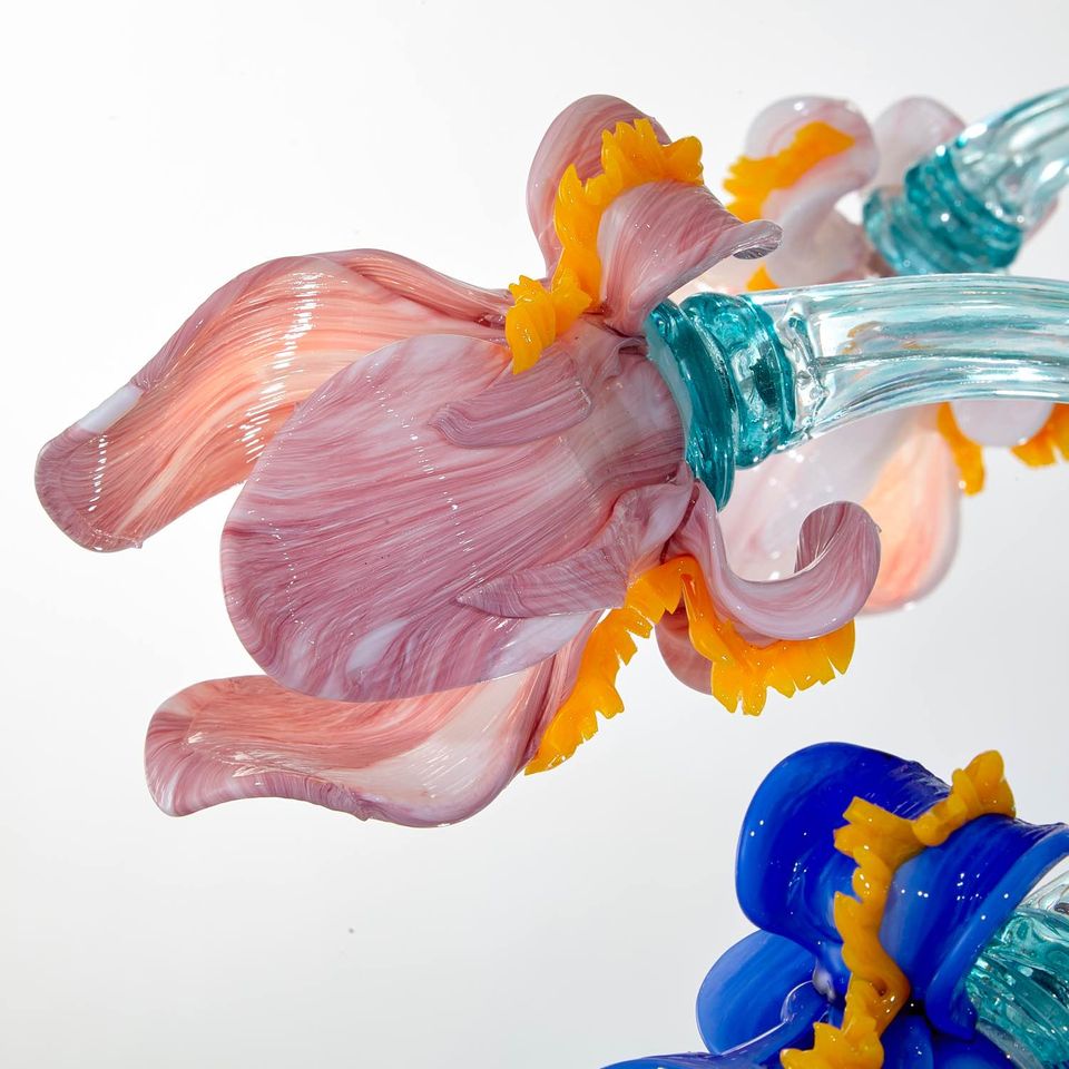 Van Gogh Iris Deluxe Multicolor