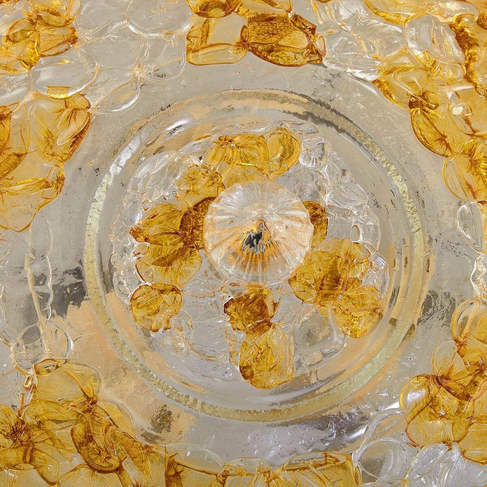 Mimosa